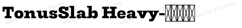 TonusSlab Heavy字体转换